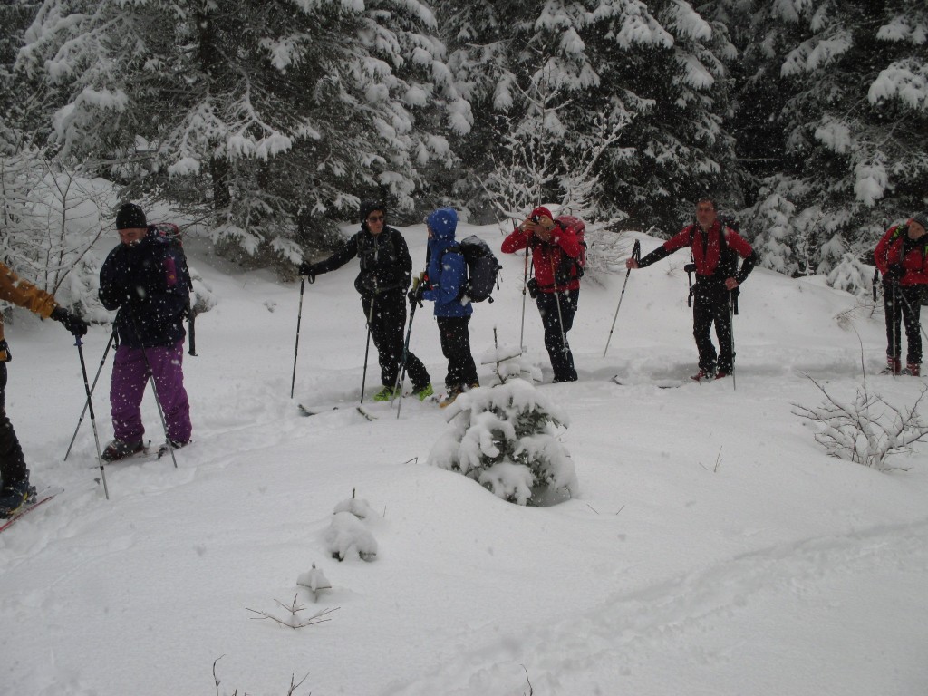 IMG_0586