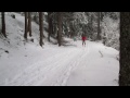 Video Bosco