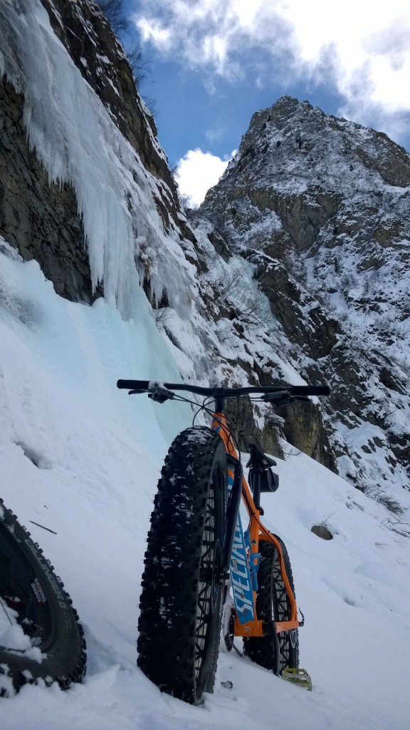 Bici a spalle ... a volte ne vale la pena!